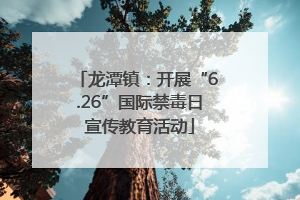 龙潭镇：开展“6.26”国际禁毒日宣传教育活动